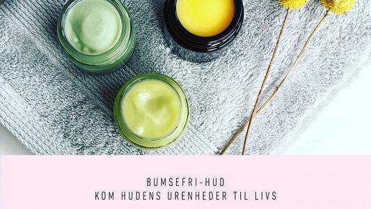 Tina Lykkegaard Ren Lykke Bumsefri Hud | Ebog